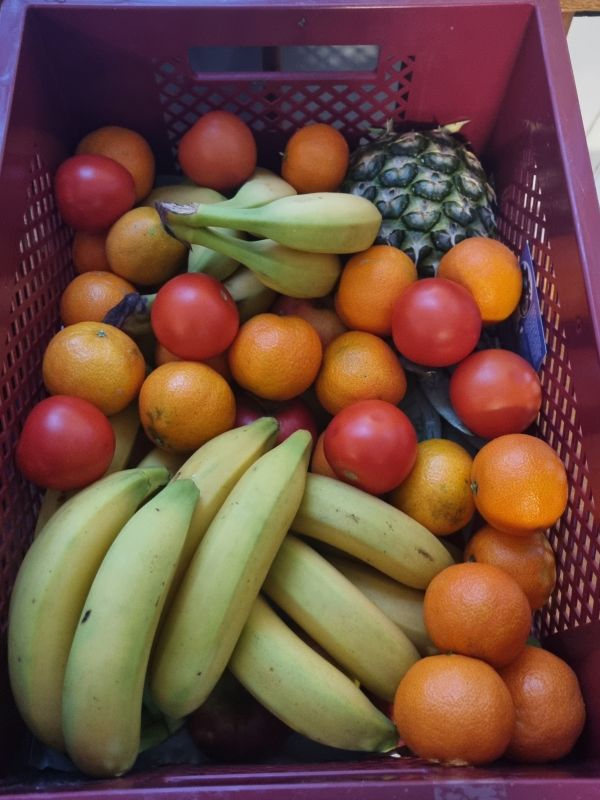 Obst für alle! FridtjofNansenSchule