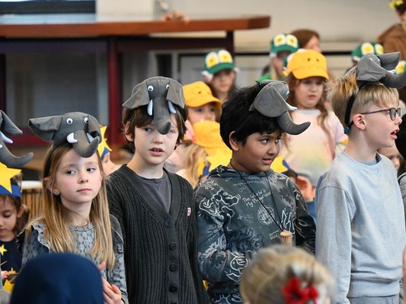 Trommelapplaus FO Aufführung Elefanten 27.02.26 HOMEPAGE